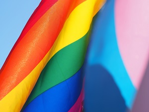 Er zijn twee vlaggen zichtbaar, de regenboogvlag en de transgendervlag, om zo samen de LHBTIQ+ te representeren.